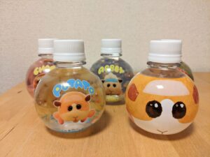 PUI PUI モルカー　えびの市産　ミネラルウォーター