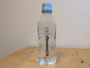 DOMINISTA　ドミニスタ　ホテルドーミーインオリジナル 　2006年3月12日追加画像