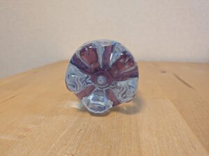 1億年白亜層のミネラルウォーター トップバリュ リトアニア産 ペットボトル底部分