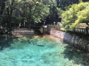 おすすめの水 ミネラルウォーター大全の正直な意見 別府弁天池 山口県美祢市秋芳町別府
